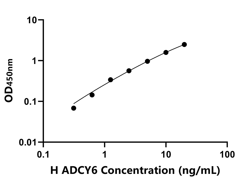 人(ADCY6)檢測(cè)試劑盒 人(ADCY6)檢測(cè)試劑盒